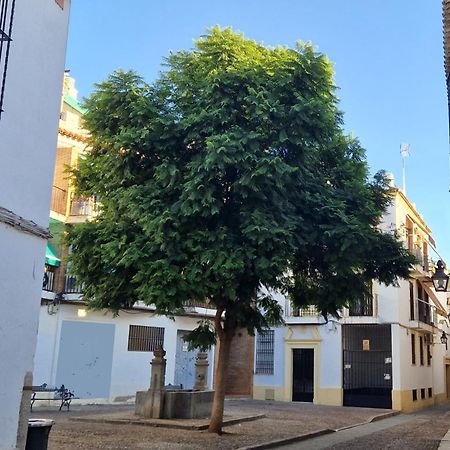 科爾多瓦Terraza De La Axerquia公寓 外观 照片