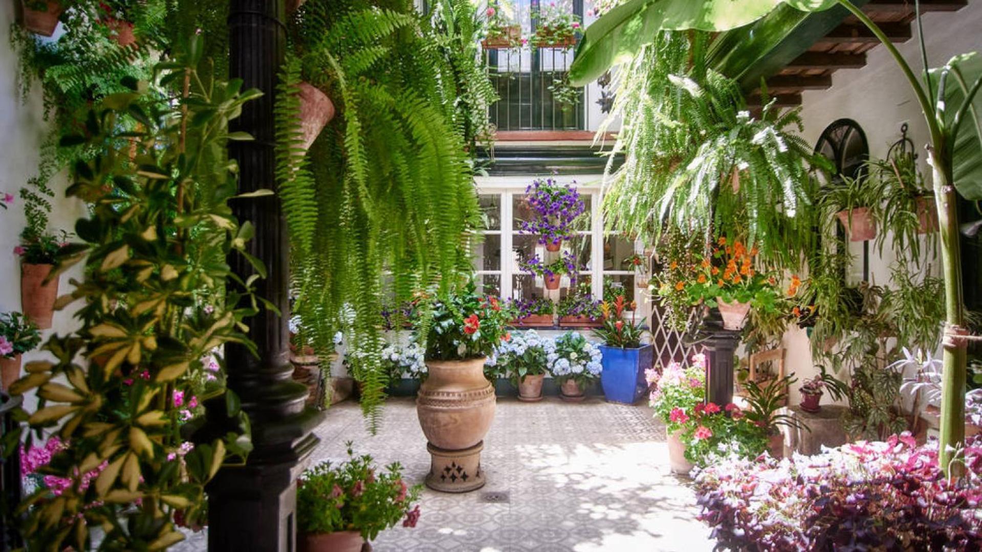 科爾多瓦Terraza De La Axerquia公寓 外观 照片