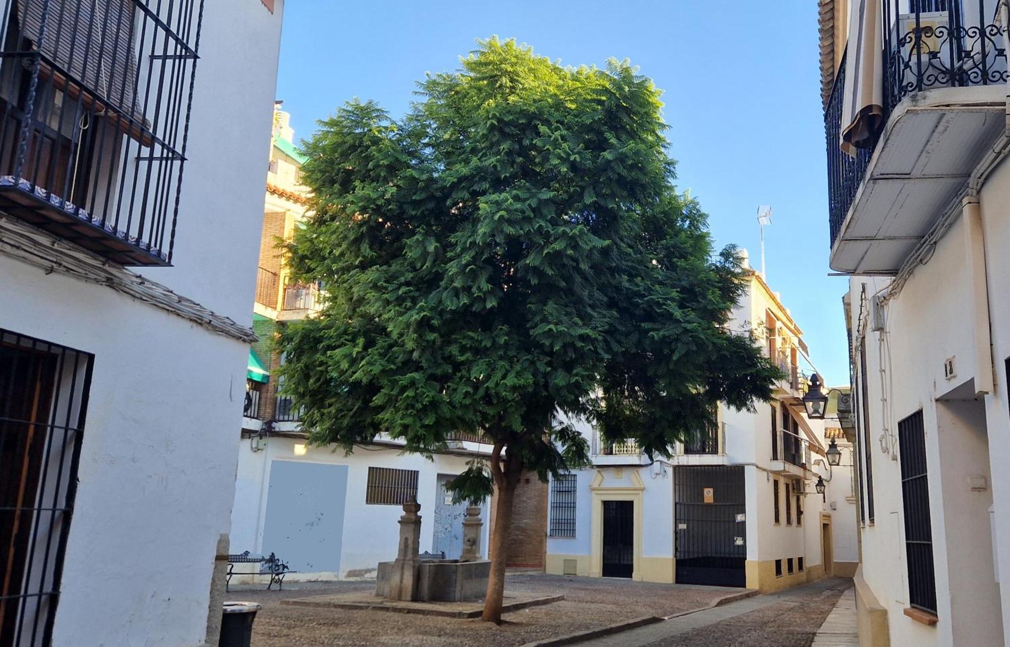 科爾多瓦Terraza De La Axerquia公寓 外观 照片